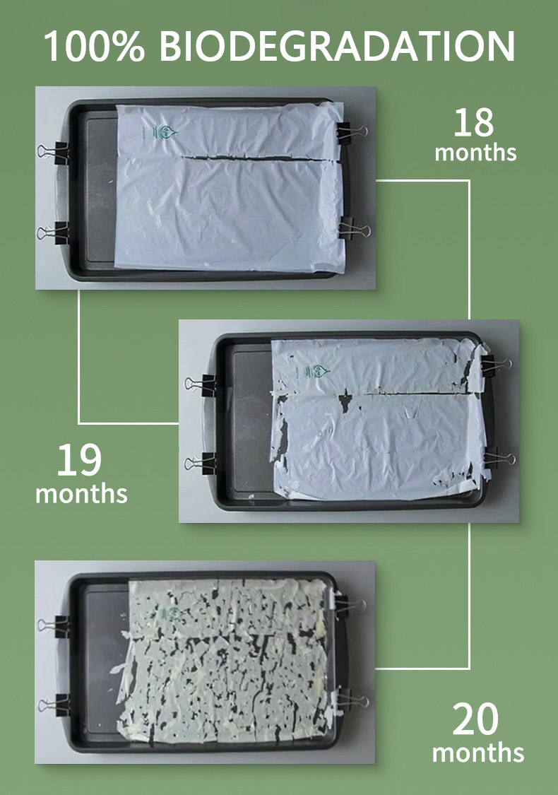 Biodegradable Mailer Bags